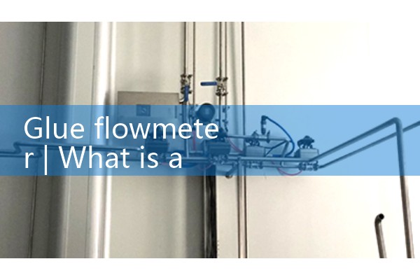 DN100 Vortex Flow Meter